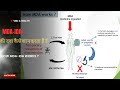 MDA IDA की दवा काम कैसे करता है | Work of MDA | how mda work | dec ka kam | albendazole ka kam