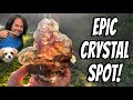 Best Pocket of Amethyst Crystals this Year! OPEN To PUBLIC