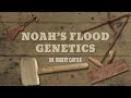 Origins: Noah’s Flood Genetics
