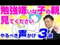 【勉強嫌いな子供にかける言葉TOP3】自ら勉強したくなります！【元教師道山ケイが解説】