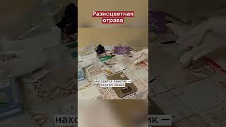 В ДНР накрыли канал сбыта наркотиков  #shorst