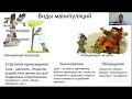 Манипуляции в общении. Как бороться с манипулятором?