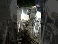 (🛵 motor vehicles II siblings)