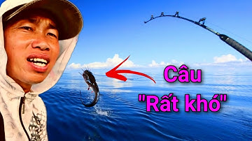 Câu Cá Thiên Nhiên | Hàng Trình Săn Cá Ngát Sông Lớn Năm Căn Lên Hàng