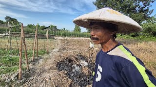 Download Lagu CERITA PAK KASTURI, PETANI ASAL PEKALONGAN PULIHKAN EKONOMI MELALUI USAHA  KEBUN SAYUR DI KALIMANTAN MP3