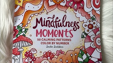 Mindfulness Moments Color By Number Book | Sachin Sachdeva | Flip Through & Completed Page