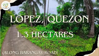 A51 - Property of Lopez | 1.3 Hectares | Along Brgy. Road | Good for Livestocks A51 - Property of Lopez | 1.3 Hectares | Along Brgy. Road | Good for Livestocks