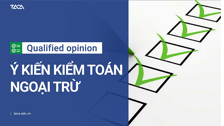 Báo cáo tài chính được kiểm toán ree