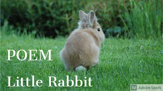 Little Rabbit - I saw a little rabbit (poem with action) Class- 1