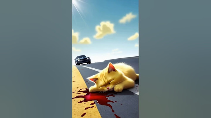 He Saved the Cat… But Had No One to Save Him 😢 Until | #trending #entertainment #cartoon #catvideos