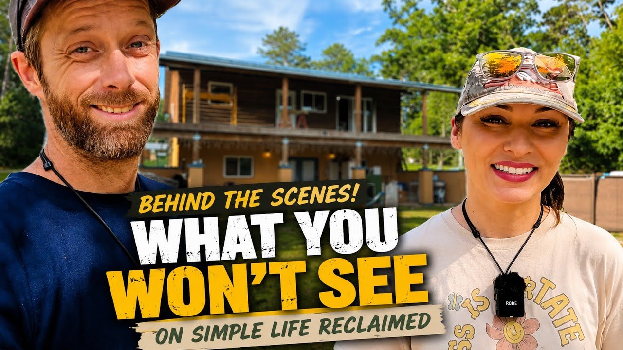 Cabin Build Sneak Peeks, Random Updates & Behind-the-Scenes - YouTube
