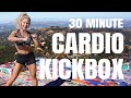 30 minute cardio kickboxing  high impact hiit  boxing combos  killer view