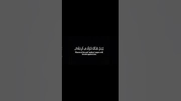 سنفرغ لكم أيها الثقلان | كروما شاشات سوداء | سورة الرحمن | الشيخ عبدالولي الأركاني