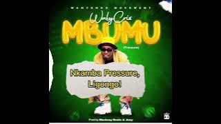 WalyCris - Mbumu (Pressure) Lyric Video  #Nowout