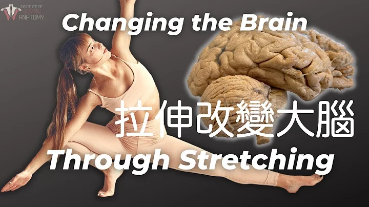 你知道吗？大脑和神经系统会影响你的柔韧性！ - 天天要闻