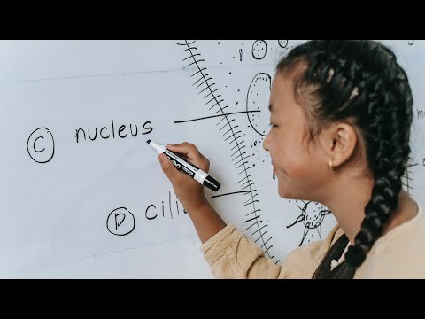 Video: Jak se nazývá centrální oblast atomu?