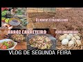 FIZ UM ARROZ CARRETEIRO REAPROVEITANDO TUDO/AS HORTAS JA ESTAO NASCENDO / ACHEI UMA NINHADA DE OVOS