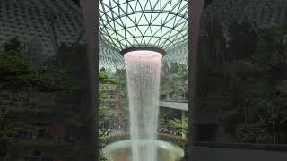 Singapore Changi Airport #singapore