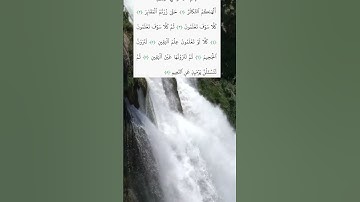 #سورة_التكاثر #ياسر_الدوسري #alquran #اكسبلور #قرآن_كريم #relaxing #راحة_نفسية #yasseraldossary #