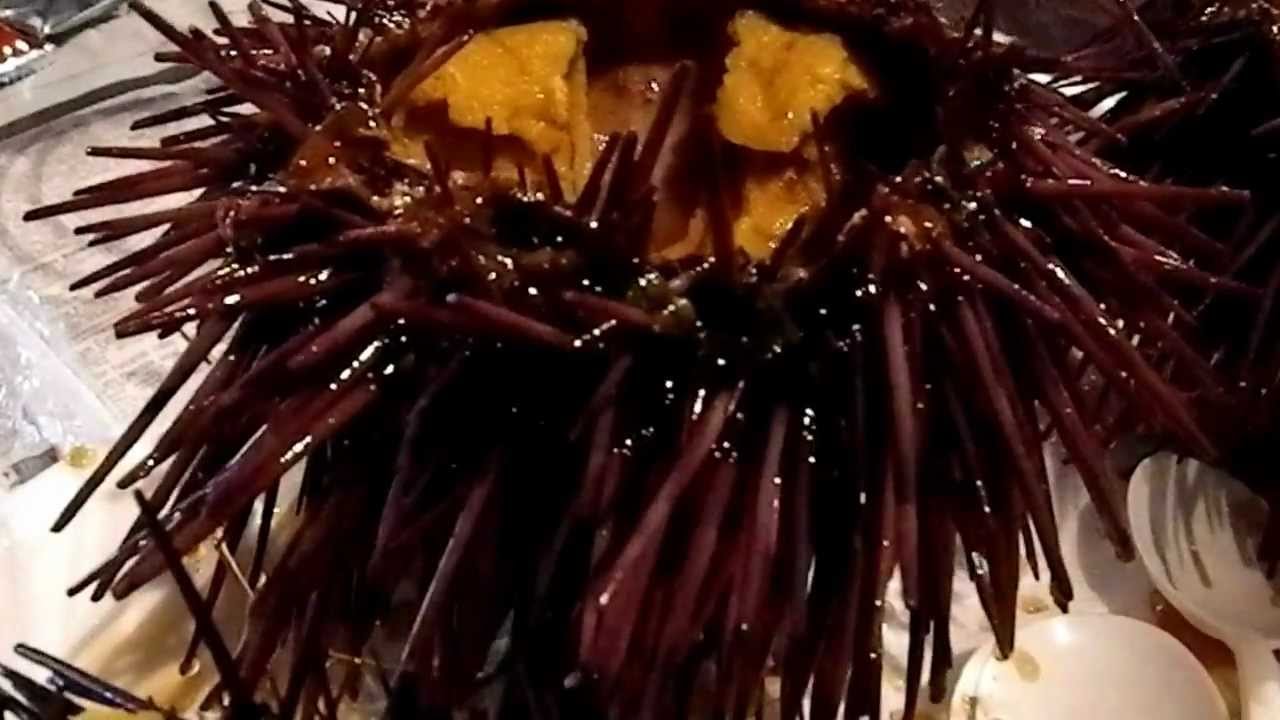 Sea urchins at outdoor seafood market, Redondo Beach, California. YouTube Sea urchins at outdoor seafood market, Redondo Beach, California. YouTube