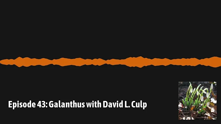 GardenDC Podcast Episode 43: Galanthus with David ...