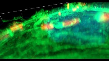 Confocal laser scanning microscope Zeis LSM900 Airyscan: 3D Airyscan images - Video 3