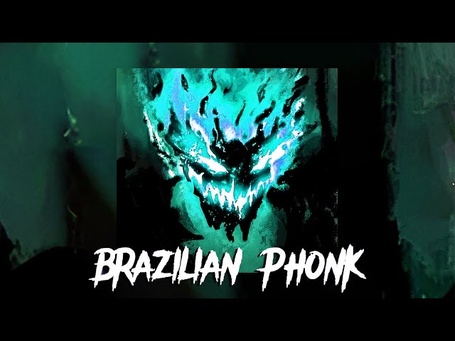 1 HOUR BRAZILIAN PHONK / FUNK MIX 2024 ※ AGGRESSIVE PHONK ※ MUSIC PLAYLIST [GYM, AGGRESSIVE, FUNK] class=