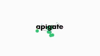 Overview: Apigate's API platform and services