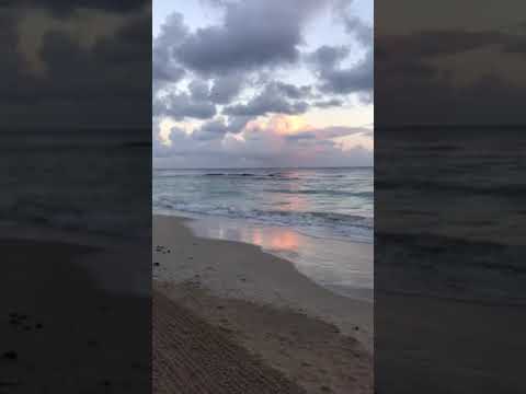 camera iphone 8 plus apk Ocean Ventnor