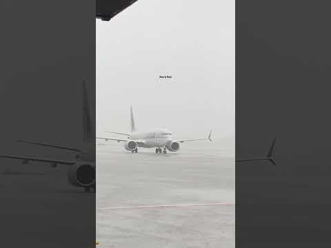 @qatarairways 737 | Heavy Rain | #csmia #boeing737 #planespotting #mumbai #commercialaircraft