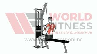 Cable Reverse grip Straight Back Seated High Row Demo