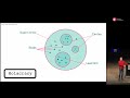 Jurgen Appelo - Shakeup and Speedup – Shifting up the Innovation Funnel,  part 2  @Agila Örebro 2019