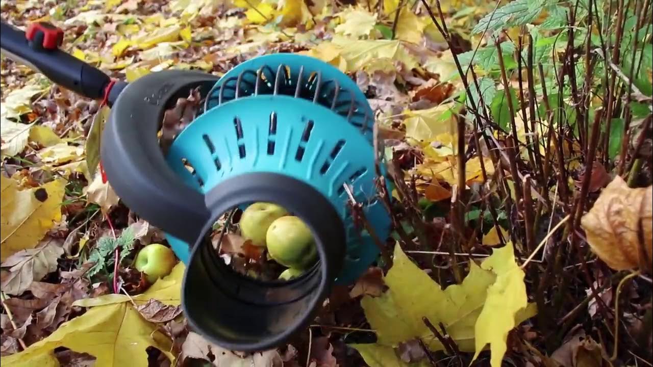 Сниматель яблок с дерева. Собиратель яблок. Плодосборник жук. Плодосборник gardena. Плодосборник для яблок с земли.