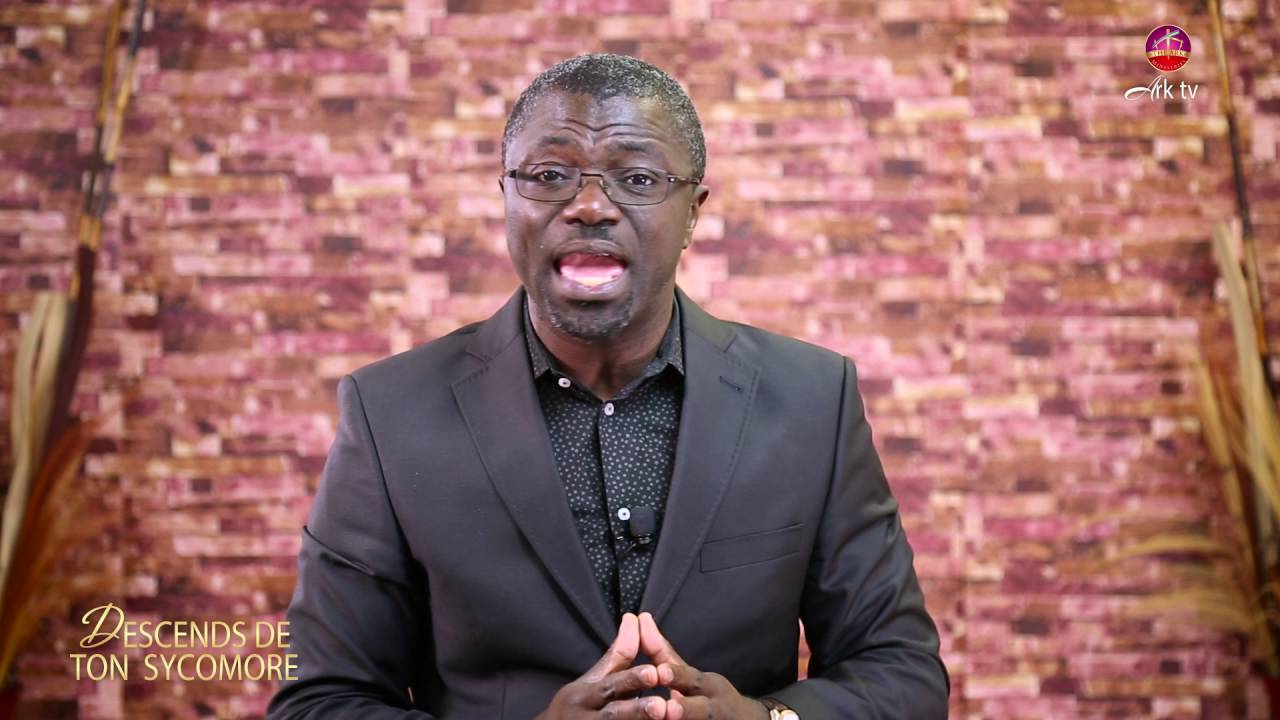 Descends de ton Sycomore