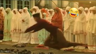 Download Lagu MOMEN PALING KOCAK DAN PALING KONYOL BIKIN NGAKAK SAMPAI SAKIT PERUT 😂🤣 VIDEO LUCU 2025 part 10 MP3