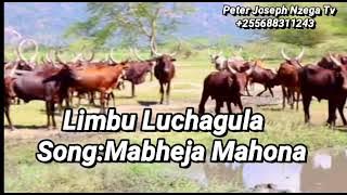 Limbu Luchagula - Mabheja Mahona ( Music Audio 2021)