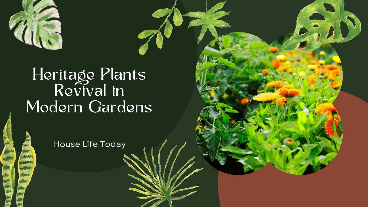Heritage Plants Revival in Modern Gardens