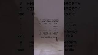 It Sounds Depressing… The Russian Lyrics Are Worse | Molchat Doma – Sudno (Судно)