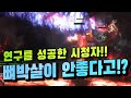 [너빌보] 초월 최전방 뼈 박살 저거넛 패스오브엑자일