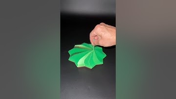 3D Printed Expanded Sensory Fidget Star  #3dprinting #timelapse #fidget