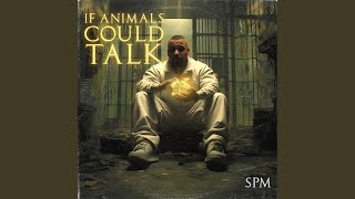 SPM Versus Los 2 Wealth