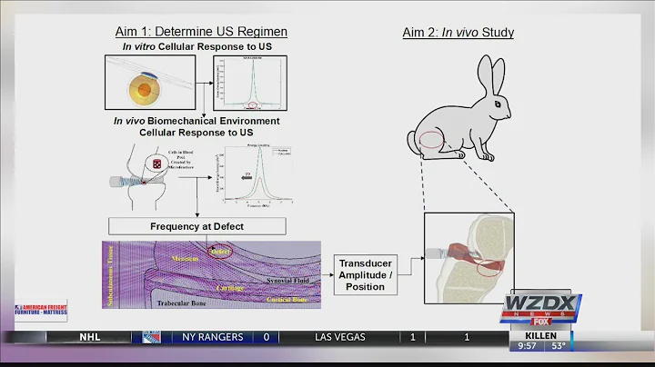 UAH researchers looking at possible cartilage regrowth after surgery