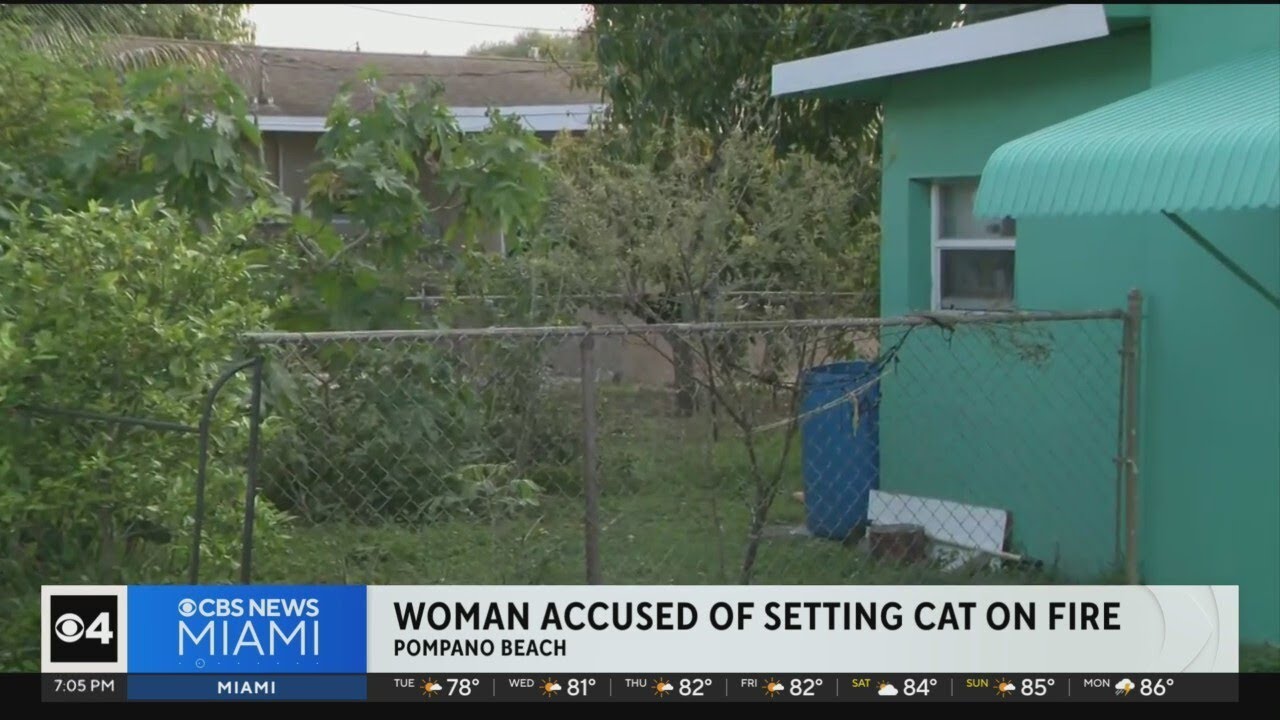 Pompano Beach woman accused of setting cat on fire - YouTube