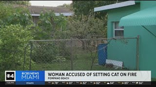 Pompano Beach woman accused of setting cat on fire