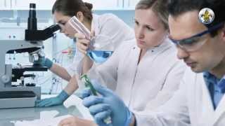 Насекомые: секрет коллективного разума Насекомые: секрет коллективного разума