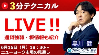 見通しズバリ！3分テクニカル分析「ライブ‼」 NY市場の見通し　2025年6月16日