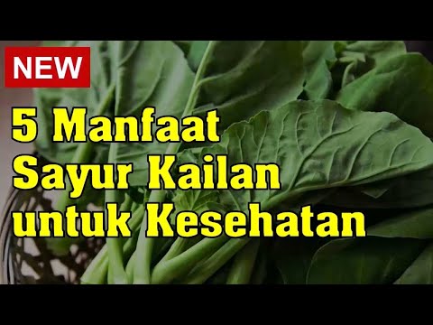 Sayur Kale Dan Kailan Apakah Sama