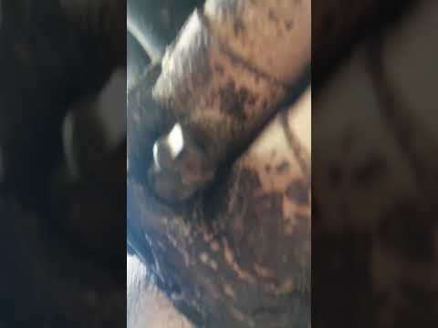 صوت خشن في السيارة جوان ديال شاكمة تحرق أو كيتنفس