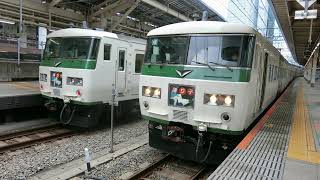 185系が2編成並ぶ！　in東京駅