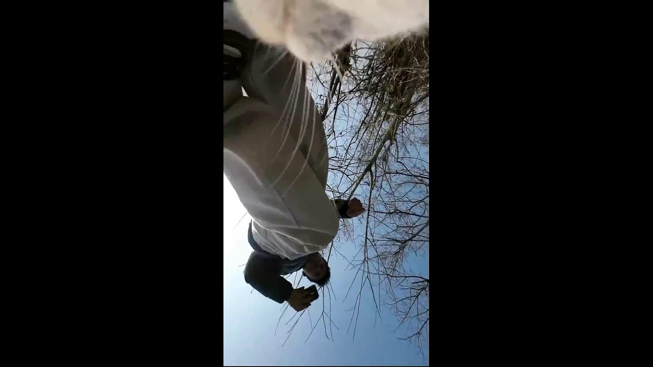 A Cat's First-Person Perspective｜猫の一人称視点｜ 2026-03-09 09:22:48